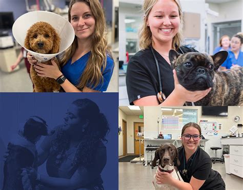 highland emergency vet|Emergency Vet in Highland, Mishawaka and Westville, IN and .